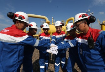 Subholding Gas Pertamina