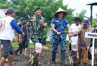 Pangkoopsud II saat turut Laksanakan Penanaman Jagung 1 Juta Hektar Serentak
