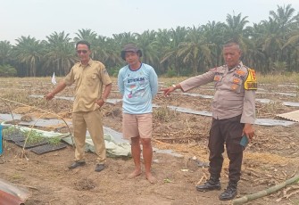 Personel Polsek Belitang III Melaksanakan Pendampingan Pengecekan Lahan Warga 