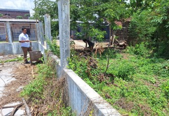 Anggota Satreskrim Polres Karanganyar mengecek lokasi kandang Kelompok Ternak Maju Terus guna proses penyidikan kasus dugaan korupsi 20 sapi bantuan Kementerian Pertanian.