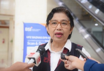Anggota Komisi IX DPR RI Irma Suryani
