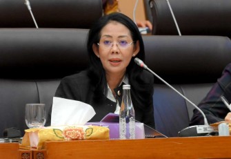 Anggota Komisi XII DPR RI Nurwayah