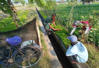 Pendampingan petani wilayah desa binaan 