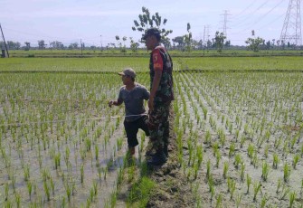 Proses Pengukuran Tanah untuk Koperasi Desa Kelurahan Merah Putih