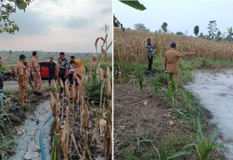Dinas Lingkungan Hidup Kabupaten Bojonegoro mendatangi lokasi pembuangan limbah di Dusun Ngantru Desa Sekaran hasil pengeboran sumur minyak illegal di Dusun Klepo, Desa Tambakmerak, Kecamatan Kasiman.