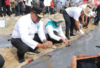 Dirjen Bina Adwil, Safrizal ZA