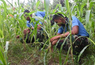 Pemanfaatan lahan untuk ketahanan pangan di Skadik 404, Kamis (6/2)
