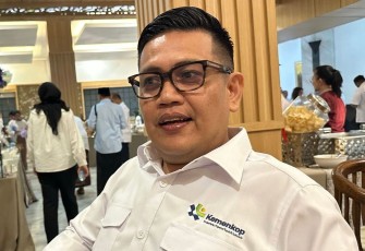 Deputi Pengembangan Usaha Koperasi, Kemenkop, Panel Barus