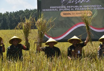Danrem Wijayakusuma Vicon Panen Padi Serentak di Pemalang