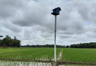 Teknologi IPHA Sukses Tingkatkan Produksi Padi