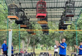 Lomba burung kicau