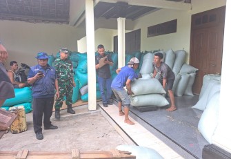 Kegiatan Pendampingan Serapan Gabah Panen Padi oleh Babinsa Desa Betek  