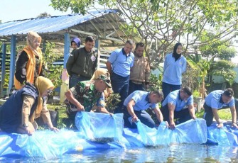 Tebar ribuan benih ikan nila, Selasa (29/4)