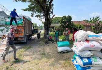 Rutin Pendampingan Sergab Upaya Anggota TNI Kodim Ponorogo Tingkatkan Kesejahteraan Petani