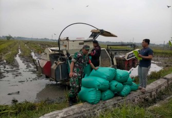Serka Nursahid 