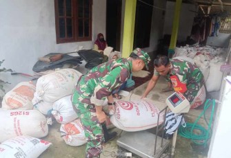 Penyerapan gabah petani desa binaan 