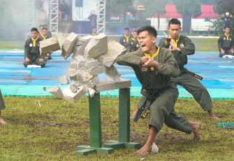 Demonstrasi pencak silat 