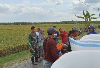 Program sergab di wilayah desa binaan 