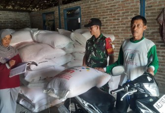 Pendistribusian pupuk bersubsidi 