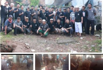 Penyembelihan hewan qurban 