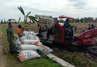 Babinsa Kodim Ponorogo Dampingi Petani Jual Hasil Panen