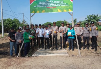 Polsek Belitang III Tanam Jagung Serentak Kuartal 3