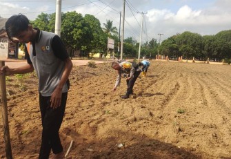 Personel Polsek Belitang III Laksanakan Pengecekan Lahan Ketahanan Pangan