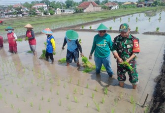 Tanam padi bersama warga binaan