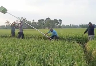 Pemasangan rumah burung hantu di wilayah desa binaan 