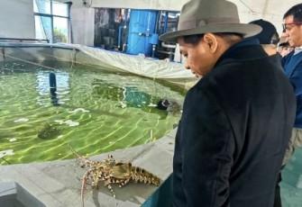 Budidaya Perikanan yang Digarap PT BALAD 