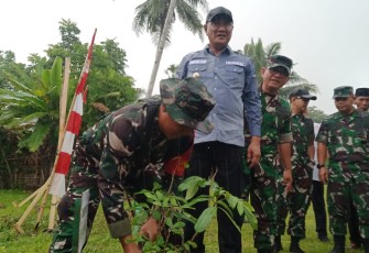 Sebanyak 200 bibit buah-buahan seperti Alpokat, mangga, dan jeruk kalamansi akan ditanam oleh Satgas TMMD ke  123 Kodim 0407/Kota Bengkulu di Desa Tengah Padang Kecamatan Talang Empat Kabupaten Bengkulu Tengah