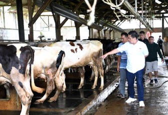 kunjungan Deputi didampingi oleh Asisten Deputi Pengembangan Kemitraan Leonardi Pratama, Asisten Deputi Akselerasi Jaringan Usaha Cecep Setiawan, Benediktus Prasetyo dan Roysepta Abimanyu sebagai Tenaga Ahli Menteri