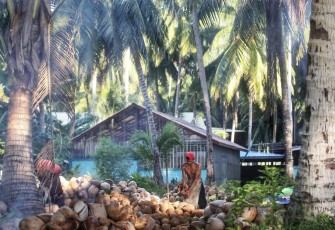 Volume Ekspor Kelapa dan Turunannya dari Kepri Januari-Mei 2025 Meningkat