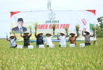 Sekretaris Jenderal JATMA ASWAJA, Helmy Faishal Zaini (ketiga kari kiri) bersama Menteri Koordinator Pangan RI, Zulkifli Hasan (keempat dari kiri) melakukan proses potong padi sebagai bentuk kesyukuran panen raya petani binaan JATMA ASWAJA di Tegal