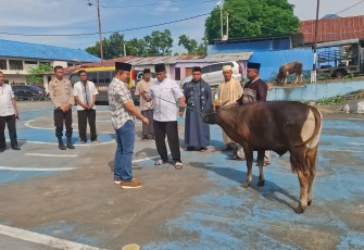 Kapolres Bitung, AKBP Albert Zai, SIK.,MH saat menyerahkan hewan kurban secata simbolis kepada panitia kurban Polres Bitung