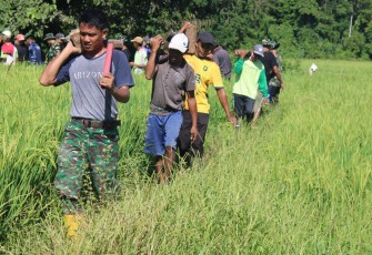 Semangat Kebersamaan Satgas TMMD Kodim 1405/Parepare Bersama Warga Angkat Batu