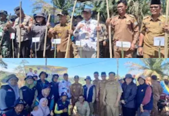 Pemda Kaur Lakukan Penanaman Padi Gogo