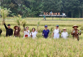 Wakil Menteri Ekonomi Kreatif (Wamenekraf) Irene Umar menghadiri panen raya di Agro Edu Wisata Organik (AEWO) Mulyaharja, Bogor