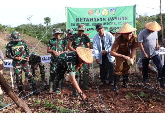 Satgas TMMD 123 Kodim 0407/Kota Bengkulu Tanam Padi Gogo
