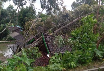 Kondisi rumah warga di wilayah Karangpandan rusak tertimpa pohon tumbang setelah diterjang badai dan hujan deras, Rabu (4/2/2026).