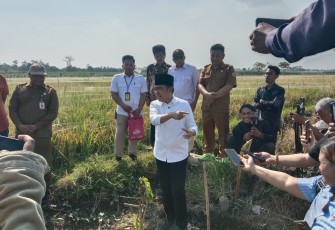 Bupati Jember, Muhammad Fawaid saat meninjau pembangunan jalan dan jaringan irigasi pada Senin (13/7/2026).