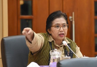 Anggota Komisi IX DPR RI Irma Suryani