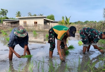 Yonarmed 12 Kostrad Pos Motaain Dukung Ketahanan Pangan di Wilayah Perbatasan