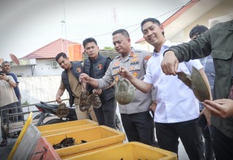 Polres Batu Bara Kembalikan 300 Belangkas ke Habitatnya