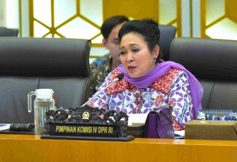 Ketua Komisi IV DPR RI Siti Hediati Soeharto