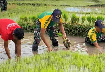 Program ketahanan pangan di perbatasan 