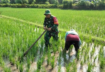 Bantu olah lahan petani wilayah desa binaan 