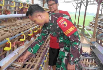 Serda Roni sambangi peternak ayam di wilayah desa binaannya