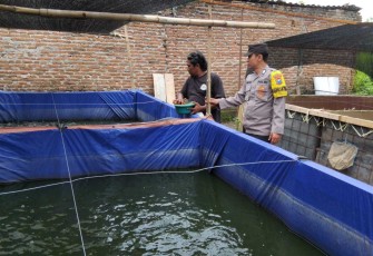 Pendampingan warga budidaya ikan lele