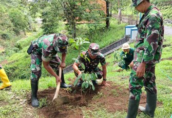 Tanam pohon di bantaran sungai Dam 8